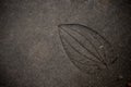Leaf imprint on cement texture background Royalty Free Stock Photo