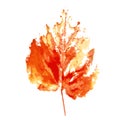 Leaf imprint. Hand-made gouache print on paper. Autumn picture for design. Isolated. Vector illustration