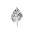 Vector leaf imprint Royalty Free Stock Photo