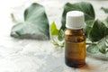 A leaf of ivy and syrup in a bottle on a light concrete table. Production of cough medicine with ivy extract. pharmaceutical indus Royalty Free Stock Photo