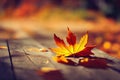 a leaf laying on a wooden table in the fall leaves of a maple tree