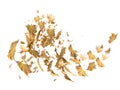 Leaf leaves falling in autumn season isolated for background many - 3d rendering