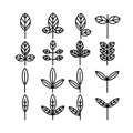 Leaf and leaves icon collection vol. 2 line thin