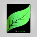 THE LEAF 2017