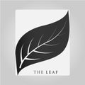 THE LEAF 2017 7