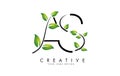 Leaf Letters AS A S Logo Design with Green Leaves on a Branch. Letters AS with nature concept