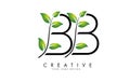 Leaf Letters BB B Logo Design with Green Leaves on a Branch. Letters BB with nature concept