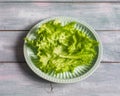 Leaf lettuce on a ceramic light green plate for preparing food laying out on a table