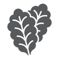 Leaf Lettuce glyph icon, vegetable and diet