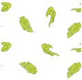 Leaf lettuce seamless hand drawn green pattern design elements