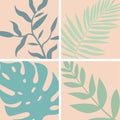 Leaf close-ups on a light background tropical collection set Royalty Free Stock Photo