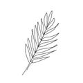 LEAF LINE ART. Vector plant leaf Continuous Line Drawing. Vector illustration with palm tree leaf