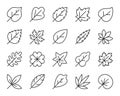 Leaf line icon set, autumn foliage simple sign, maple, oak, clover, birch leaves