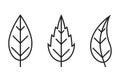 Leaf line icon set. eco, botanical and nature symbol. three leaves vector images Royalty Free Stock Photo