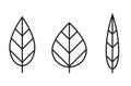 Leaf line icon set. eco and botanical symbol. narrow and wide three leaves vector images Royalty Free Stock Photo