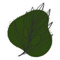 leaf line icon set, leaves - plant elements, icons