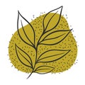 leaf line icon set, leaves - plant elements, icons Royalty Free Stock Photo