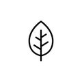 Leaf line icon vector design Royalty Free Stock Photo