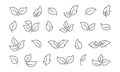 Leaf line vector icon, vegan plant, fresh organic set, leaves tree, eco food, linear branch, sketch sprout, black foliage. Nature Royalty Free Stock Photo