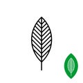 Leaf linear black symbol. One black tree leaf grille. Royalty Free Stock Photo