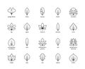 Leaf linear thin vector icons. Isolated outline of leaves ginkgo biloba, cherry, banana, beech and other leaves on a white Royalty Free Stock Photo