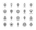 Leaf linear vector icons. Isolated outline of leaves apple, olive, beech and other leaves on a white background. Vector icons Royalty Free Stock Photo