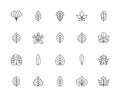 Leaf linear vector icons. Isolated outline of leaves ginkgo biloba, cherry, oak, chestnut and other leaves on a white background. Royalty Free Stock Photo