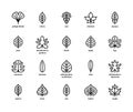 Leaf linear vector icons. Isolated outline of leaves ginkgo biloba, cherry, oak and other leaves on a white background. Vector Royalty Free Stock Photo