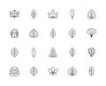 Leaf linear vector icons. Isolated outline of leaves maple, cherry, figs, olive and other leaves on a white background. Set of Royalty Free Stock Photo