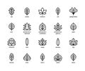 Leaf linear vector icons. Isolated outline of leaves oak, walnut, chestnut and other leaves on a white background. Vector icons Royalty Free Stock Photo