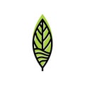 Leaf logo design inspiration, Tea leaf vector Royalty Free Stock Photo