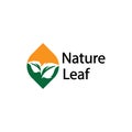 leaf logo design vector for nature symbol template editable,Green leaf logo ecology nature element vector icon