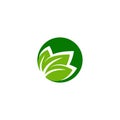 Leaf logo design vectors for spa and esthetics
