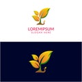 Leaf Logo Gradient Color