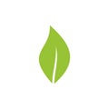 Leaf Logo Vector. Leaf icon