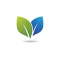 Leaf  logo vector icon Royalty Free Stock Photo