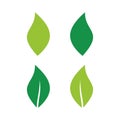 Leaf Logo Vector. Leaf icon