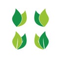 Leaf Logo Vector. Leaf icon