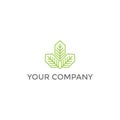 Leaf logo for your company and real estate logo Royalty Free Stock Photo