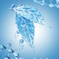 Leaf made of water splash on blue background