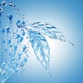 Leaf made of water splash on blue background