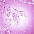 Leaf made of water splash. Pink color