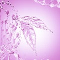 Leaf made of water splash. Pink color