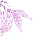 Leaf made of water splash. Pink color