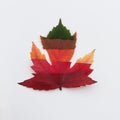 Leaf makes of pieces of colored leaves. Beautiful autumn design element. Abstract fall season background isolated