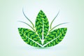 Leaf nature health lotus flower green eco plant logo