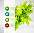 Leaf nature infographics modern template