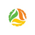 Leaf Nature Organic Circle Logo Graphic Design