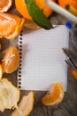 Leaf notebook by fruit