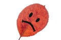 Leaf with painted sad face. Concept expression of emotion. Red leaf isolated on white background